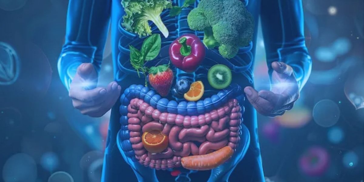 image of the body and a heallhy gut