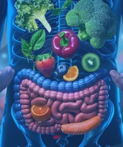 image of the body and a heallhy gut