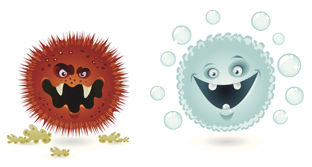 bad versus good bacteria