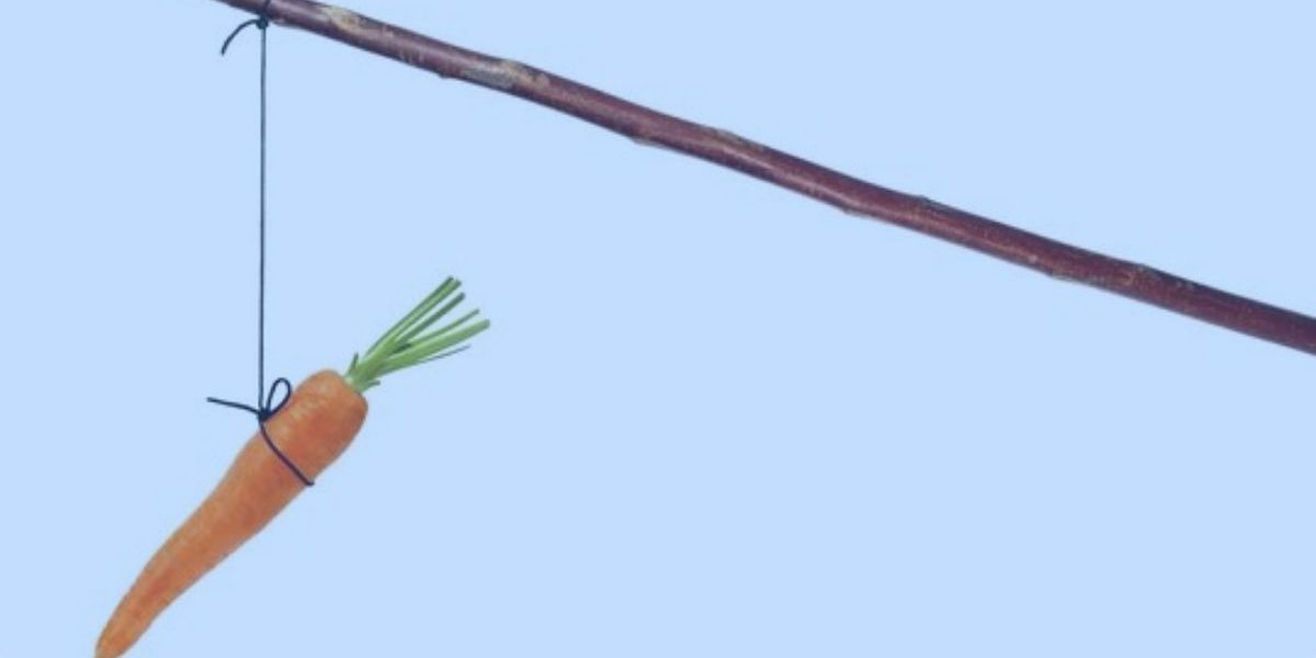 carrot hanging from a stick