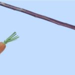 carrot hanging from a stick
