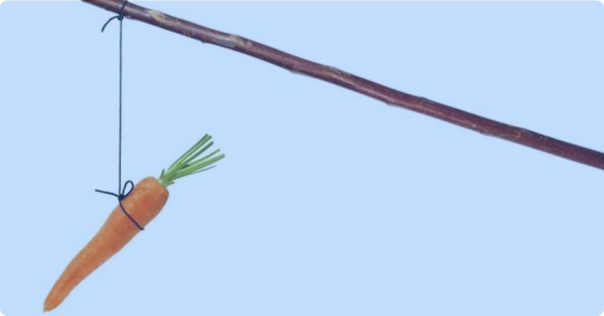 carrot hanging from a stick